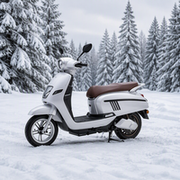 Vélo Électrique Urbain Chinois à Vendre : Moto Électrique 48V 1000W pour Adultes, Production Personnalisée, Approvisionnement en Gros