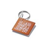 Epoxy Nfc Pet Tag QR-Code Kunden spezifische Pet Dog Tag Nfc Smart Pet Id Tag