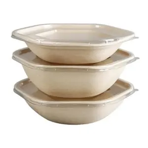 Disposable Sugarcane Hexagon Food Container Bowl Bagasse Zero Waste Takeaway Salad Bowl Biodegradable Bowls with Lids