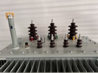Petits transformateurs immergés dans l'huile pour 10kV 11kV (220V/110V) Modèle S11 Marque Huamei pour usage domestique Usines d'énergie