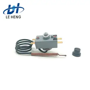 Double-pole safety cut-out thermal capillary thermostat capillary thermostat