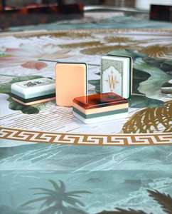 Acrylic American Style <b>Mahjong</b> Tile <b>Set</b> Custom Hand Painted American Turtle Pattern Lotus Luxury Gift White Tiles Portable - Product Image 4