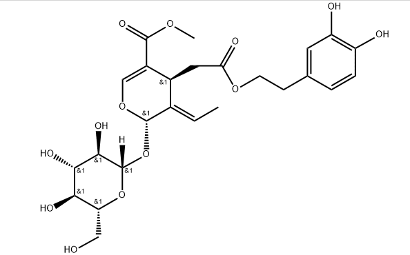 High quality Glossy Privet Fruit Olive Leaf Extract Oleanolic acid