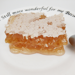 Comb Honey Honey New Season Fresh Comb Honey Pack With 500g Box