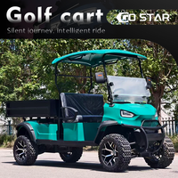 Kendaraan Golf Cart 2 Penumpang Dilengkapi Baterai Asam Timbal, Bak Kargo Besar, Kendaraan Serbaguna Villa Park untuk Penumpang & Kargo