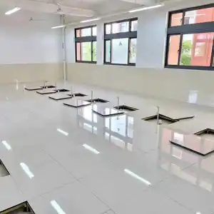 China Factory Raised Floor System Oa Raised Floor