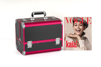 Professionnels grande capacité aluminium Abs Portable multicouche cosmétique Kit boîte artiste mallette de rangement chariot vanité maquillage sac