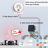 Kit de système d'alarme intelligent Tuya Zigbee pour la maison, pack de capteurs de sécurité sans fil, porte, fumée, eau, gaz, mouvement, Alexa