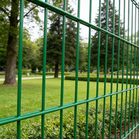Panel de Malla de Alambre Doble de Alta Resistencia 868 con Alambre de 8/6/8 mm para Alta Seguridad
