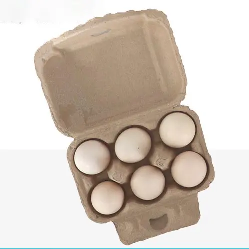 DS3552 Natural Paper Pulp Egg Carrier Biodegradable Egg Holder Storage Containers for Kitchen Farm Egg Cartons Bulk 6 Count