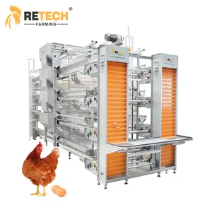 Desain Kandang Lapisan Otomatis Kandang Baterai Peralatan Unggas Ayam Telur untuk Lapisan