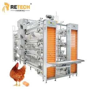 Progetta l'attrezzatura automatica del pollame del pollo dell'uovo della batteria delle gabbie della batteria della gabbia di strato per gli strati