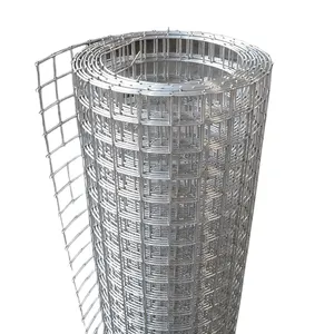 Toptan özelleştirilmiş galvanizli veya Pvc kaplı Aviary Mesh siyah tavuk Coop Mesh kaynaklı tel tel örgü rulosu