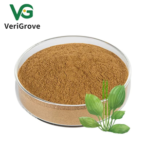 Plátano Verde Fresco Natural de Suministro Directo de Fábrica, Venta al por Mayor a Granel, Exportación, Cadena Minorista, Especial, Origen Estadounidense, Grado Alimenticio - Product Image 3