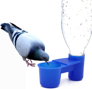 Abreuvoir pour pigeons en gros, déflecteur d'eau, bouteille d'eau, fontaine pour <span class=keywords><strong>colombes</strong></span>, distributeur d'eau, PH-54 - Product Image 1