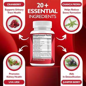 Cápsulas Besica OEM para la Limpieza <span class=keywords><strong>Renal</strong></span>, Extracto Herbal de Arándano, Desintoxicación y Reparación - Suplemento Natural para el Tracto Urinario de Adultos - Product Image 3