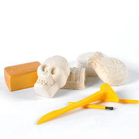 Divertido Kit de Excavación de Fósiles del Océano del Tesoro Pirata, Explora la Ciencia, Juguetes de Excavación, Kit de Excavación para la Educación de los Niños