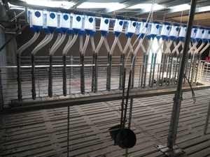 Barre de rail fixe d'élevage pour truies - Product Image 5