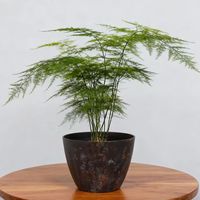 Pots de fleurs et jardinières modernes en plastique PP, durables, écologiques, légers et électro-plaqués pour la maison, le balcon et le jardin