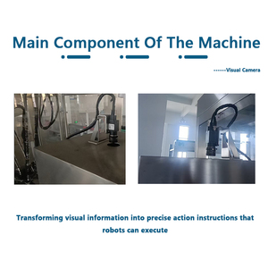 High Speed Automatic PLC-controlled Food <b>Plastic</b> Sachet Bag Carton Case Filling <b>Spider</b> Packer Robot Sealer Packaging Machine - Product Image 5
