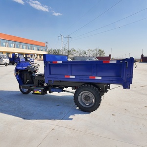 Tricycle à trois roues diesel, tricycle cargo, tricycle à essence avec benne ouverte, <span class=keywords><strong>moto</strong></span> de livraison, <span class=keywords><strong>camion</strong></span> à essence pour adultes, moteur 250CC - Product Image 6