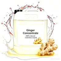 Concentré de gingembre liquide de qualité alimentaire soluble dans l'eau, saveur naturelle de gingembre, extrait de gingembre liquide