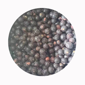 Vente en gros de cassis congelés IQF | Emballage de sac en papier en vrac de 10kg/25kg | <span class=keywords><strong>Prix</strong></span> direct d'usine pour les importateurs mondiaux - Product Image 1