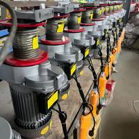 Mini palan électrique à chaîne pour usage domestique, neuf, 100 kg, 200 kg, 300 kg, 500 kg avec chariot et élingue en câble métallique