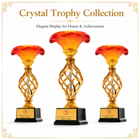 Trophée en cristal pour cadeau d'affaires ou de remise de diplôme, avec gravure laser et sculpture d'ombre, pour collection et récompense