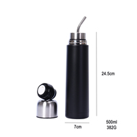 Bouteille d'eau multifonctionnelle 3-en-1 Beauchy sans BPA pour Yerba Maté, 500 ml, isotherme à double paroi avec filtre à thé et paille