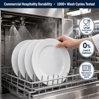 Assiettes en céramique personnalisées avec logo, bord large, blanc pur, de 5 à 12 pouces, vaisselle pour hôtel et restaurant, vaisselle en porcelaine en vrac, plats plats de service