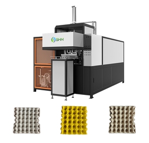 Linea di Produzione di Vassoi per Uova in Polpa Modellata in Configurazione <span class=keywords><strong>Mini</strong></span> - Product Image 5