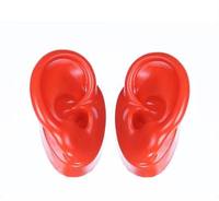 Vente directe usine : Présentoir pour modèle d'oreille artificielle en silicone, pour aides auditives, écouteurs, protections auditives et moniteurs musicaux