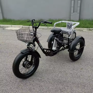 Bestseller NQX Modèle 654 Vélo à pédales électrique 20 pouces avec batterie au lithium, cadre en acier, pneus Fatbike, freins à disque, monovitesse, panier de neige et siège arrière - Product Image 4