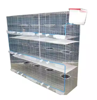 Vente chaude Pigeon élevage couche Cage nouvelle condition SSD de l'usine de la Chine