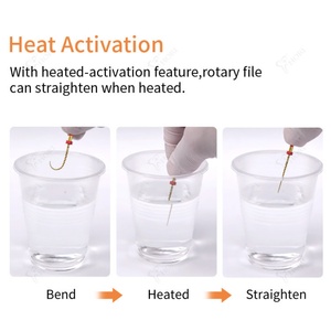 Juego de 6 Limas Rotatorias Endodónticas de NITI para Uso Dental, Limas Dentales para Conductos Radiculares Activadas por Calor con Fuente de Alimentación Manual - Product Image 3