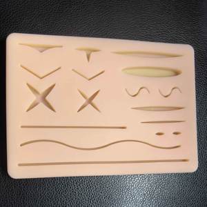 Kit de Entrenamiento de Silicona Duradero, Modelo de Ciencia Médica para Práctica de Sutura y Práctica de Piel - Product Image 6