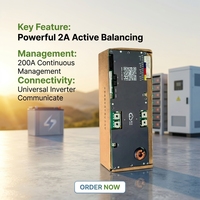 JKBMS PB2A16S20P 16S 48V 200A BMS intelligent avec équilibrage actif 2A CAN RS485 pour onduleur parallèle, stockage solaire domestique, DIY