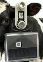 Etiqueta de Rastreo GPS Lorawan Resistente al Agua para Ganado, Rastreador GPS para Ganado, Ovejas y Soluciones de Gestión de Granjas de Animales