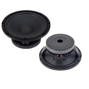 Subwoofer Huiyin de 10 Pulgadas, 1500W RMS, 91-100dB de Sensibilidad, para Escenarios, Bares y KTV - Product Image 1