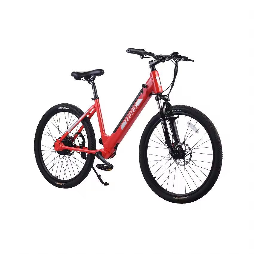 Best Selling Chainless Electric Bike 2025 High Performance E Bike