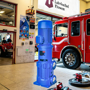 Pompe centrifuge verticale multi-étages de type DL pour la lutte contre l'incendie et l'alimentation en eau propre domestique, support OEM personnalisé - Product Image 4