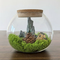 15cm Modern kosong terarium kaca meja vas kayu gabus transparan glasir untuk meja kantor dekorasi Mini tampilan tanaman