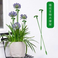 Support de fleurs spécialisé DIHAO pour plantes succulentes, orchidées Phalaenopsis, pot de fleurs, tige de support florale anti-basculement en PP