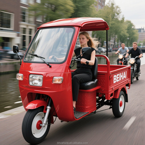 Tricycle de transport de marchandises à trois roues de haute qualité, robuste, forte capacité de charge, véhicule de transport de marchandises électrique pour adultes - Product Image 4
