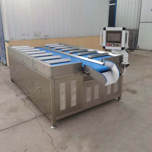 Automatische 12 Paletten Früchte Meeres früchte und Rindfleisch Multi-Station Check weigher Elektronische Waage für Kombination system - Product Image 3