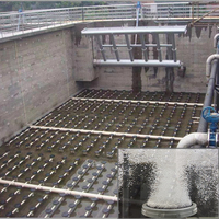 Aérateur 215MM 260MM 300MM EPDM Disque Diffuseur d'air Aérateur à bulles fines pour traitement de l'eau