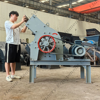 Concasseur à Marteaux de Haute Efficacité, Petit Broyeur à Marteaux pour Briques et Charbon, Machine de Concassage pour l'Extraction d'Or à Vendre