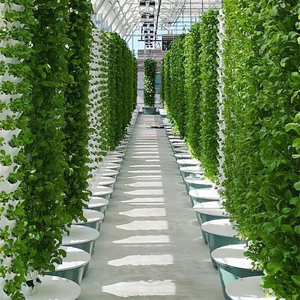 NUEVO Hidroponía Vertical Motorizado Jardín giratorio Torre aeropónica Granja Sistema giratorio Torre de jardín vertical Agricultura - Product Image 5