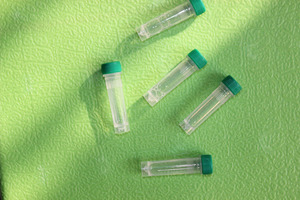 Kit <span class=keywords><strong>de</strong></span> test du parvovirus canin pour chiens/chiottes, test antigénique du parvo - Product Image 3